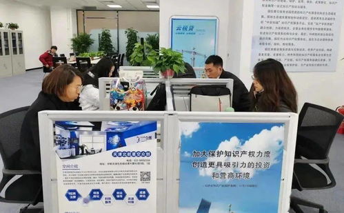 生態城 建設知識產權保護新高地，服務先行，創新驅動