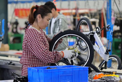 高清組圖丨河北廣宗 自行車童車俏銷海內(nèi)外，傳統(tǒng)制造煥發(fā)新活力